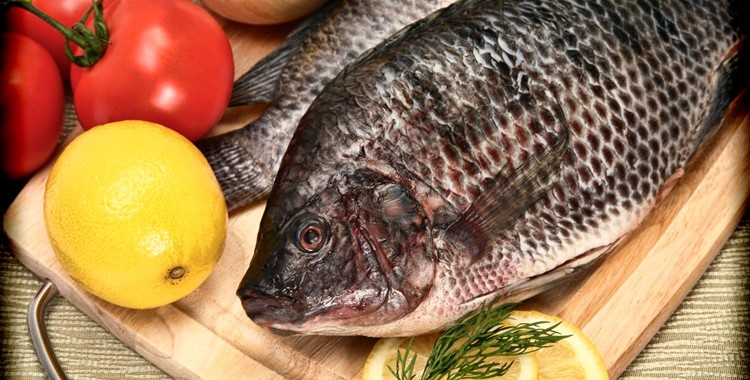 מתכון לדג אמנון