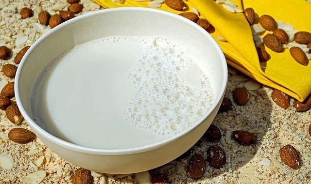 איזה אבקת חלבון כדאי לקנות?